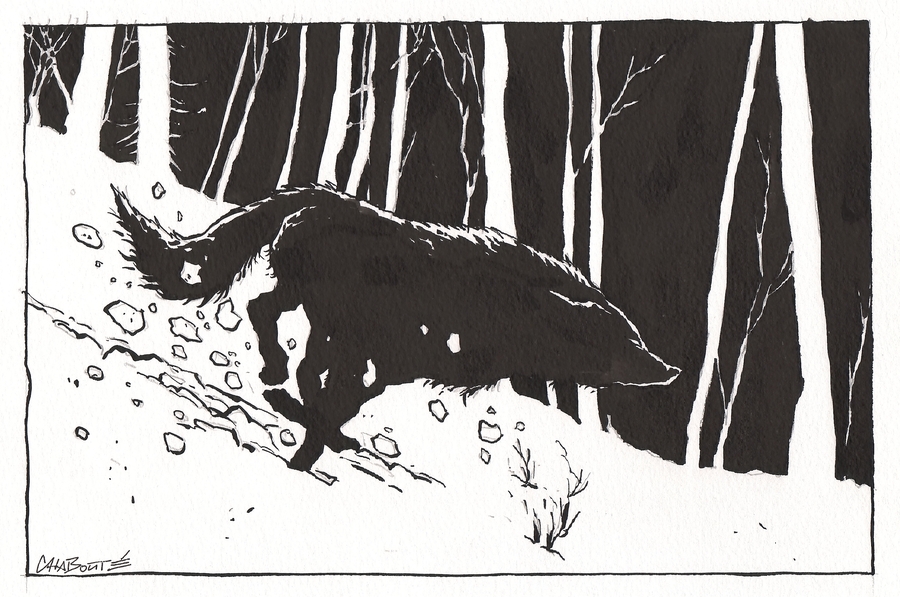 BANDES DESSINEES