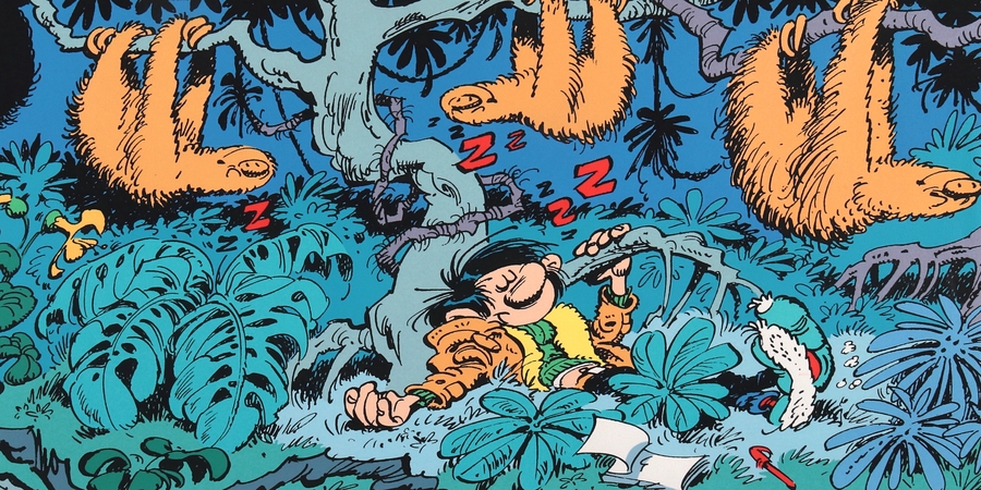 COMICS - Franquin's universe